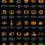 Nguyên vũ Nguyễn Profile Picture