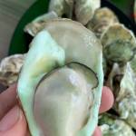 Bolem Profile Picture