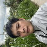 Lê quốc hòa Profile Picture