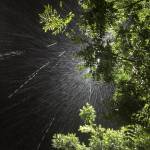 Cuoilennhe01 Profile Picture