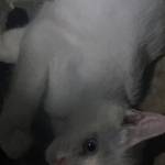 Phú Huỳnh Profile Picture