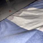 Vu Vu Profile Picture