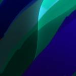 Hai Pham Profile Picture