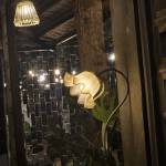 Lamgiang Profile Picture