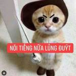 Nhân Nguyễn Profile Picture