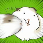 Khai Quan Profile Picture