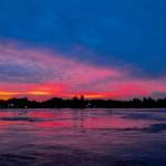 Minh Lê Profile Picture