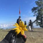 Đức Trần Profile Picture