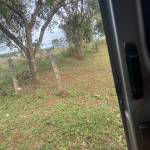 hinh thien hinh Profile Picture