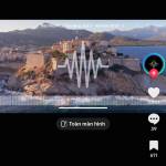 Lam Vũ Profile Picture