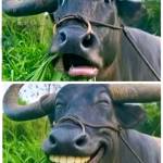 Đỗ Hoàng Profile Picture