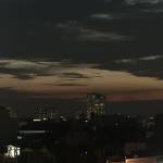 aloalo0199 Profile Picture