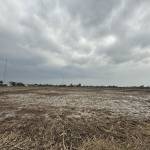 Nhật Trần Profile Picture