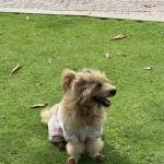 Charly Nguyen Profile Picture