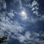 tú đào Profile Picture