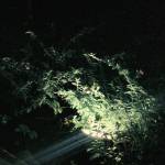 Vỹ Lưu Profile Picture