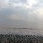 Đạt Thành Profile Picture