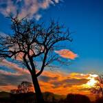 Tiến Nguyễn Profile Picture