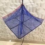 Toán Nguyễn Profile Picture