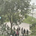 ah ha Profile Picture