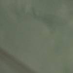 Hien Dao Profile Picture