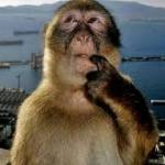 Hung Nguyen Profile Picture