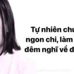 Thiện Nguyễn Profile Picture