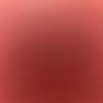 Nam Trần Profile Picture