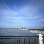 vuong1992 Profile Picture