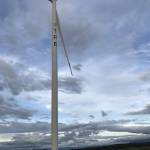 Huy Nguyễn Profile Picture