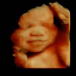 Bi Bi Profile Picture