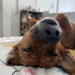 Sang989sang Profile Picture