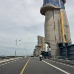 Hoai Le Profile Picture