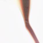 Tèo Tí Profile Picture