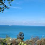 Long Huynh Profile Picture