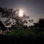 Baocutetua Profile Picture