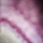 Trần văn Việt Trần Profile Picture