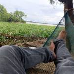 Nam Trần Profile Picture