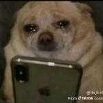 Kaunghtet Profile Picture