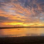 Tính Lê Profile Picture