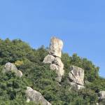 Giang Nguyên Profile Picture