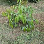 troc 2mai Profile Picture