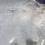 Hân Nguyễn Profile Picture