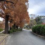 Tùng Tiền Profile Picture