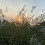 Lực Thạch Profile Picture