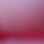 NhuNhong12 Tran Profile Picture