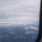 Nam Trần Profile Picture