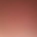 Tieu Phuong Profile Picture