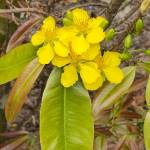 Nam111121 Profile Picture