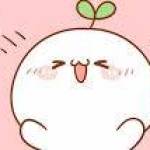 Thành Trần Quốc Profile Picture